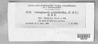 Image Associated With the Occurence